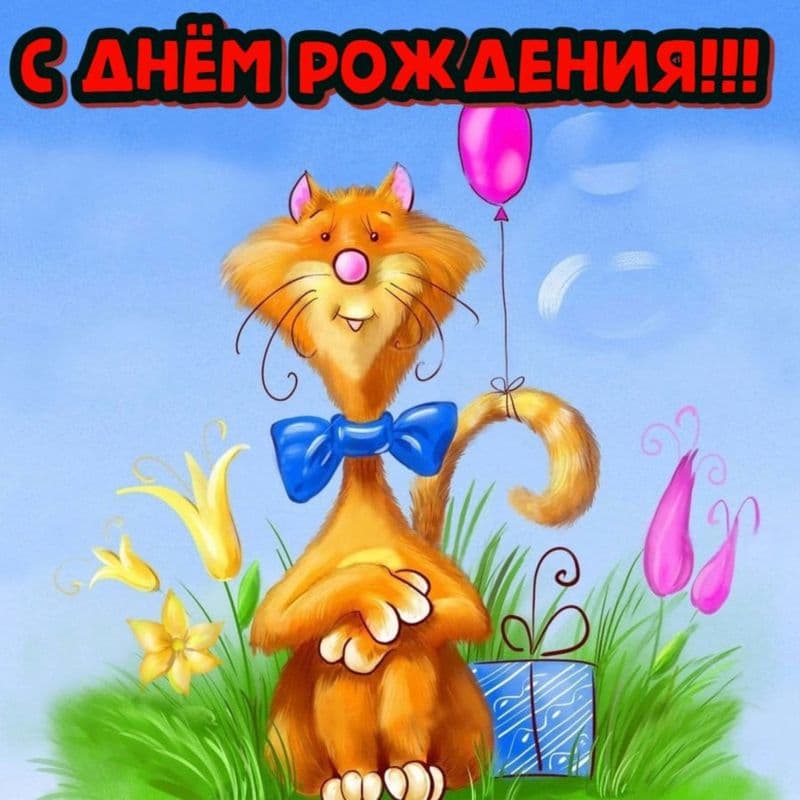 Рыжий Открытка поздравительная